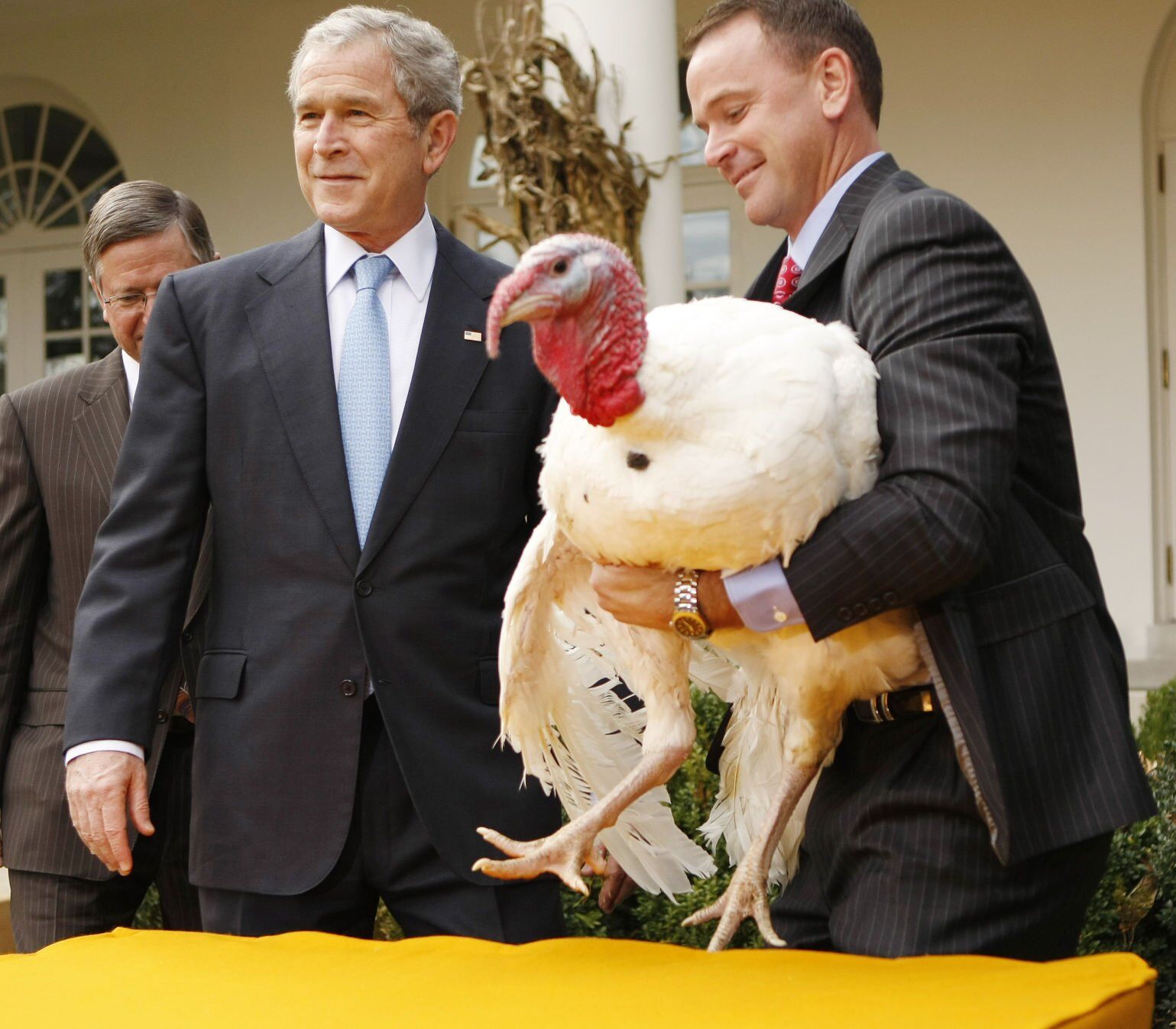 Bush turkey pardon, 2008